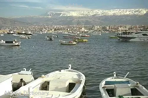 مینا لبنان